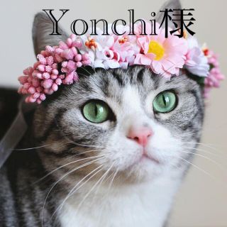 yonchiさま　専用(その他)