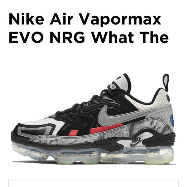 8月限定価格❗️ NIKE AIR VAPORMAX EVO NRG 27cm メンズ tripkicks.com