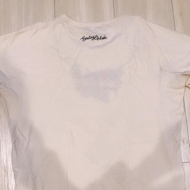 SEE BY CHLOE(シーバイクロエ)のSEE BY CHLOE シーバイクロエ Tシャツ レディースのトップス(Tシャツ(半袖/袖なし))の商品写真