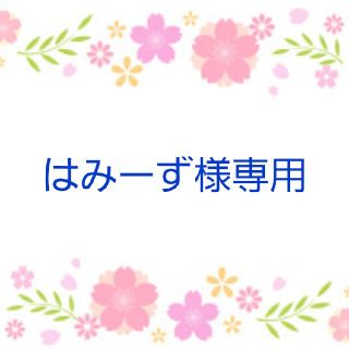 松葉菊　赤5本　オレンジ5本　黄色5本(その他)