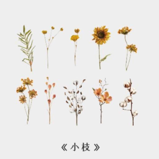 海外 ボタニカル アンティーク 花柄 Pet素材 シール 植物 素材 の通販 By T Mama ラクマ 海外 ボタニカル アンティーク 花柄 Pet素材 シール 植物 素材 の通販 By T Mama ラクマ