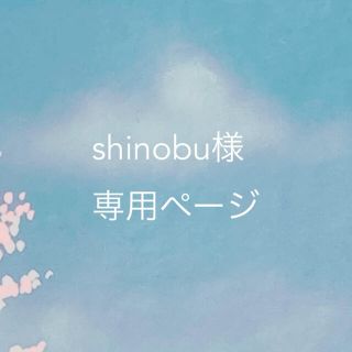 あつまれどうぶつの森　チョコエッグ　フィギュア(アニメ/ゲーム)