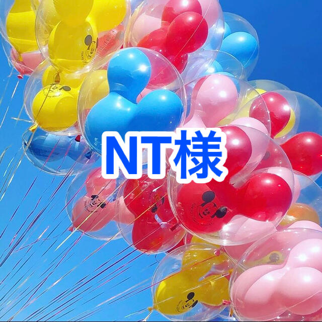 注目のブランド NT様専用ページ 生地/糸