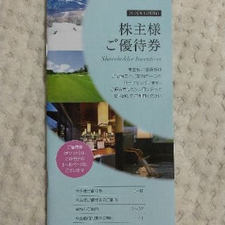 東急不動産株主優待1000株冊子2020年12月発行(その他)