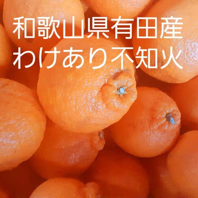 和歌山県有田産 わけあり不知火10kg 食品/飲料/酒の食品(フルーツ)の商品写真