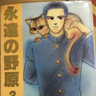 永遠の野原2 逢坂みえこの通販 ラクマ