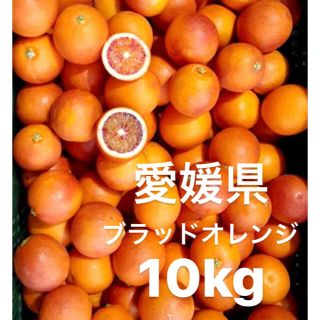 愛媛県　ブラッドオレンジ　(タロッコ)10kg(フルーツ)