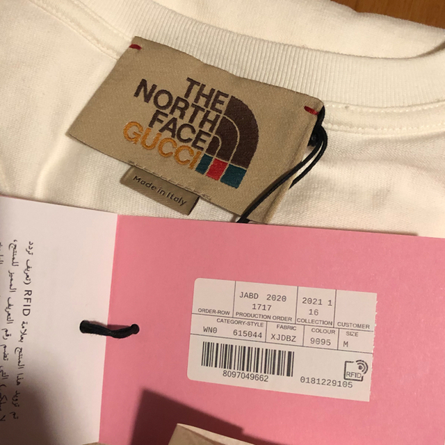 Gucci(グッチ)のGUCCI × THE NORTH FACE Tシャツ メンズのトップス(Tシャツ/カットソー(半袖/袖なし))の商品写真