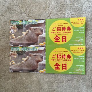 伊豆シャボテン公園　全日有効招待券　2枚(動物園)