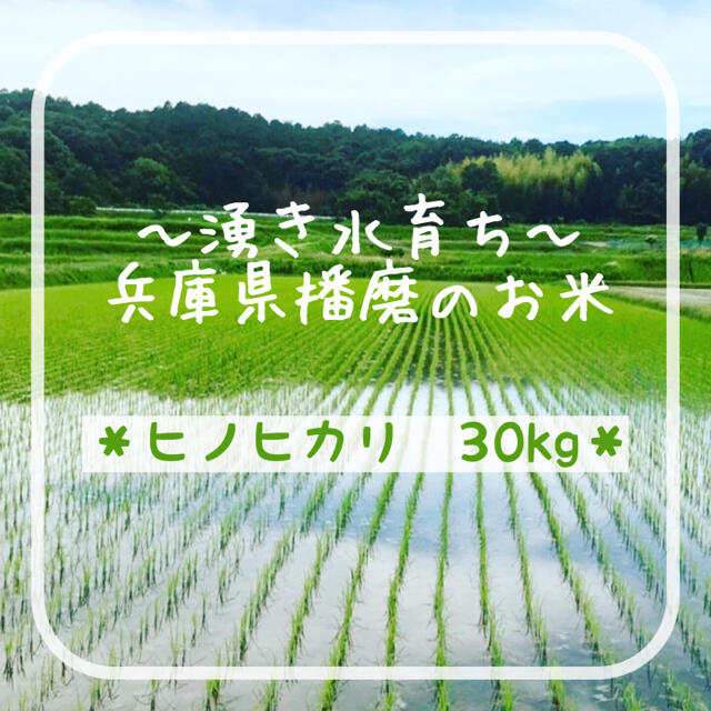 【一度食べて欲しい‼︎】兵庫県産農家直送新米ヒノヒカリ30kg宜しくお願い致します