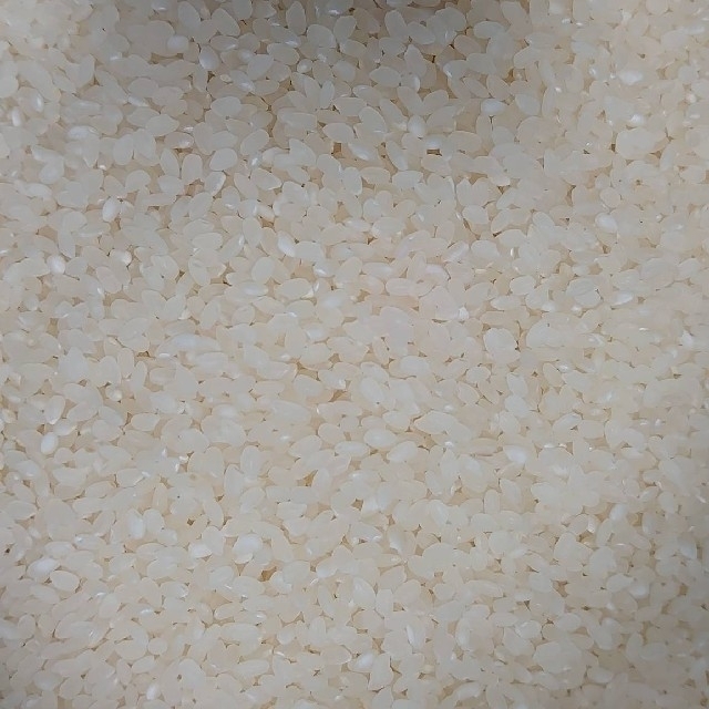 特価最新作 もんぶらん様専用 特A地区産 30kgの通販 by うさぎの米屋(お米マイスターの居るお店)|ラクマ 精米済 お米 通販最新作