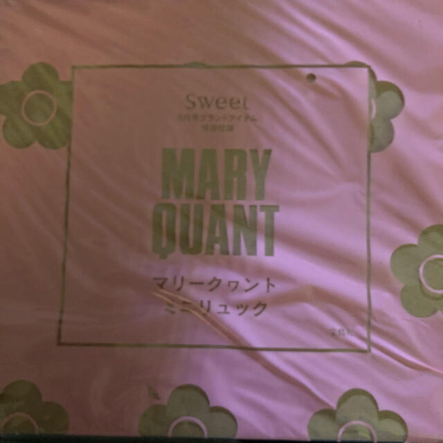 MARY QUANT(マリークワント)のMARY QUANT ミニリュック レディースのバッグ(リュック/バックパック)の商品写真