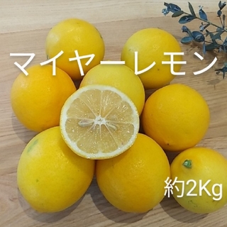 国産マイヤーレモン　約2Kg(フルーツ)