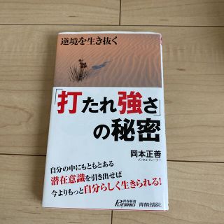 「打たれ強さ」の秘密 逆境を生き抜く(文学/小説)