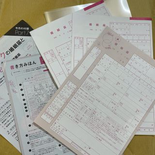 ピンクの婚姻届3枚セット　書き方見本付　おまけ付(その他)