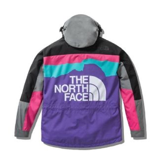 ザノースフェイス(THE NORTH FACE)のthenorthface invincible Mountain jacket(マウンテンパーカー)