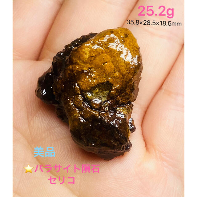 パラサイト隕石 隕石 原石 セリコ 25.2g パラサイト 美品の通販 by