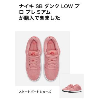 ナイキ(NIKE)のNIKE DUNK pink pig ナイキ エスビー ダンク ピンク ピッグ (スニーカー)