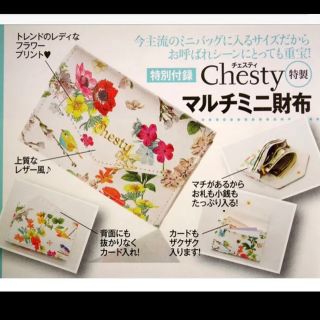 チェスティ(Chesty)のチェスティ　カードケース (名刺入れ/定期入れ)