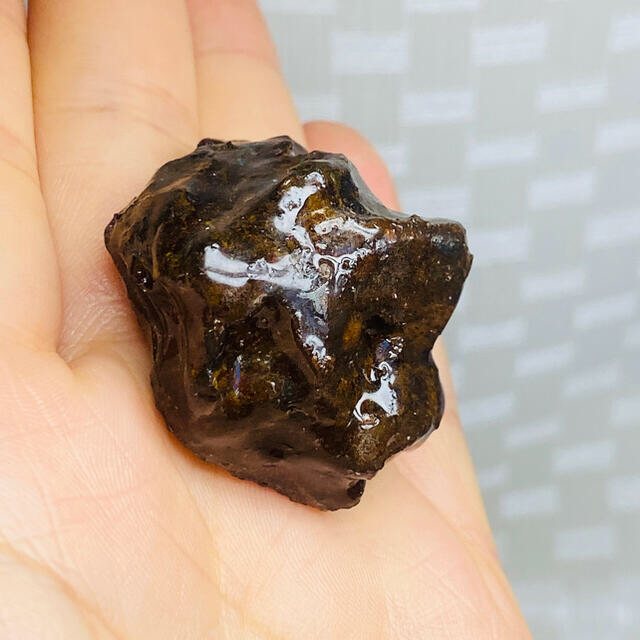最初の ⭐️パラサイト 美品 セリコ パラサイト隕石 46.6㌘ 隕石 その他 - covid19.ins.gov.mz
