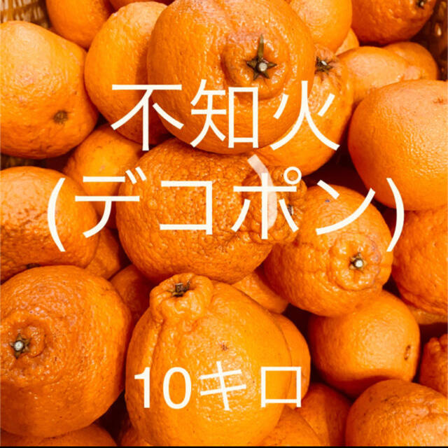 ラスト1箱」和歌山産 不知火(デコポン) ワケあり、家庭用箱込10キロ