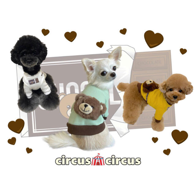 circusホワイトチョコSSサイズ Choco Bear Boys Sweat