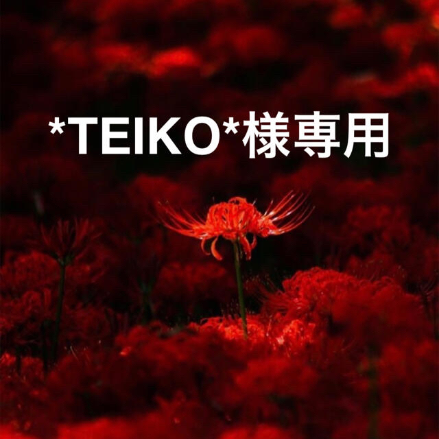 激安超安値 teiko...♡様専用 blog.expertsoftwareteam.com