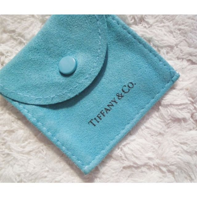 Tiffany & Co.(ティファニー)のTiffany小物入れポーチ ピアスやピルケースに◎アクセサリーケース レディースのファッション小物(ポーチ)の商品写真
