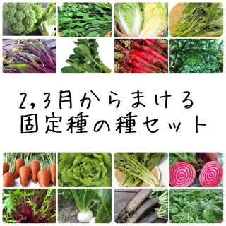 ★伝統野菜★2,3月からまける固定種の種セット(野菜)