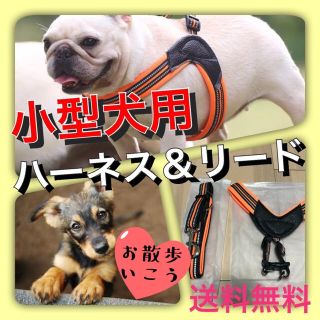 【２点セット】 愛犬思いの小型犬高級タイプハーネス リードＳサイズ胸囲50-54(犬)