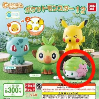 ポケモン(ポケモン)のカプキャラ　シェイミ　ポケモン　ガチャガチャ(キャラクターグッズ)