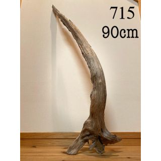大型　流木【715】(置物)