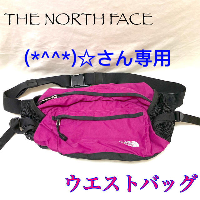 THE NORTH FACE(ザノースフェイス)のTHE NORTH FACE ウエストバッグ レディースのバッグ(ボディバッグ/ウエストポーチ)の商品写真