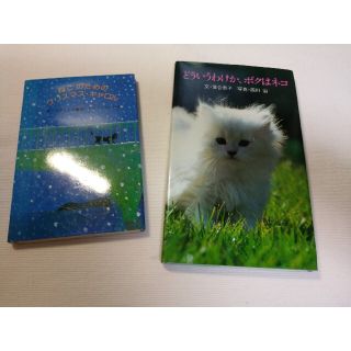 サンリオ(サンリオ)の「どういうわけか、ボクはネコ」「ねこのためのクリスマス・キャロル」2冊(絵本/児童書)