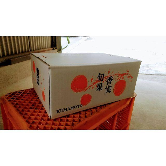 【農家直送】ネーブルオレンジ　Mサイズ　5キロ　送料込　 食品/飲料/酒の食品(フルーツ)の商品写真