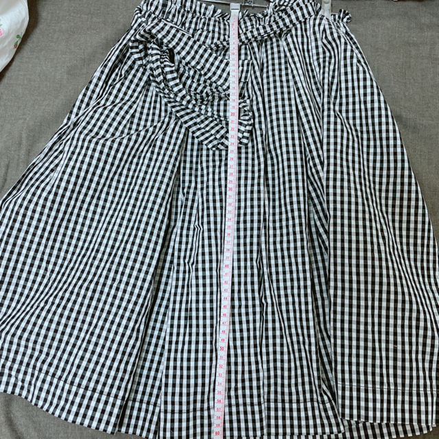 F i.n.t(フィント)のフィント　ギンガムチェックスカート レディースのスカート(ひざ丈スカート)の商品写真