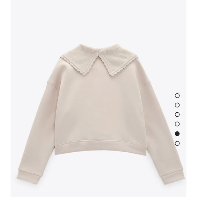 完売　ZARA ニットカラースウェットシャツ