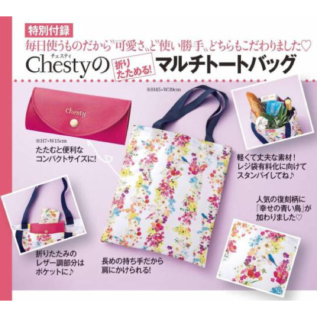 Chesty(チェスティ)のchestyマルチトートバッグ レディースのバッグ(エコバッグ)の商品写真