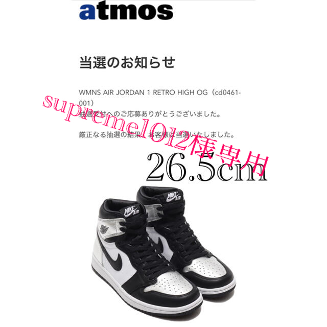 NIKE(ナイキ)のAIR JORDAN 1 RETRO HIGH OG SILVER TOE レディースの靴/シューズ(スニーカー)の商品写真