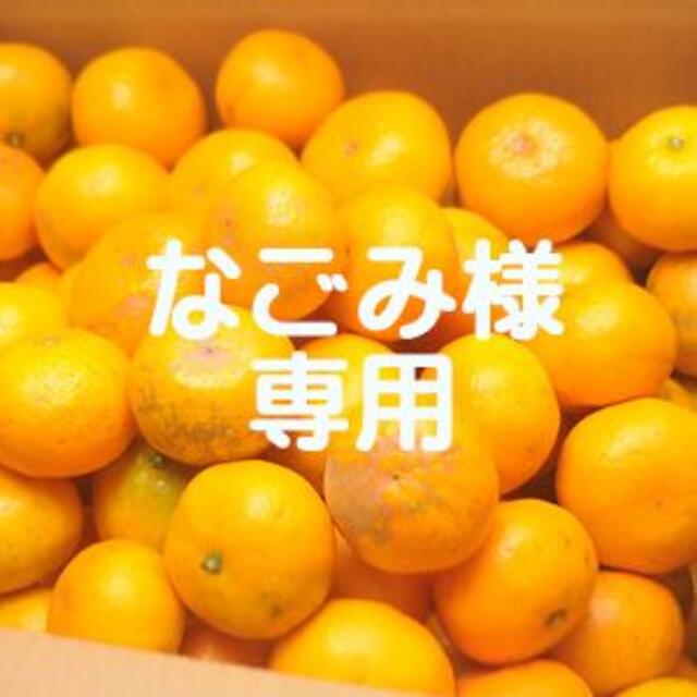 なごみ様専用！訳あり蔵出しみかん１０ｋｇ 食品/飲料/酒の食品(フルーツ)の商品写真