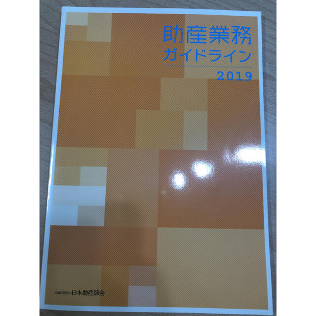助産業務ガイドライン2019 エンタメ/ホビーの本(語学/参考書)の商品写真