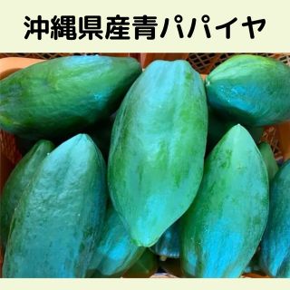 沖縄県産　青パパイヤ無農薬　4kg(野菜)