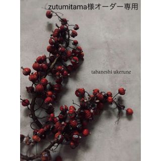 春の芽吹きを感じる 鳥の巣のような フライング リース ドライフラワー(ドライフラワー)