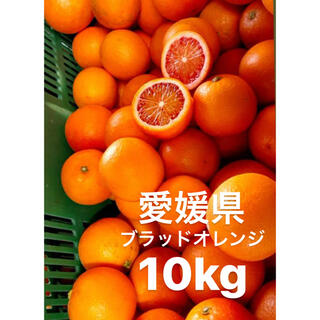 愛媛県　ブラッドオレンジ　(モロッコ)10kg(フルーツ)
