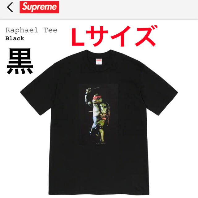 Tシャツ/カットソー(半袖/袖なし)Supreme Raphael Tee 黒L