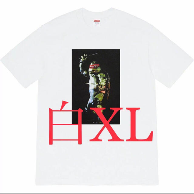 Tシャツ/カットソー(半袖/袖なし)Supreme raphael tee XL kaws