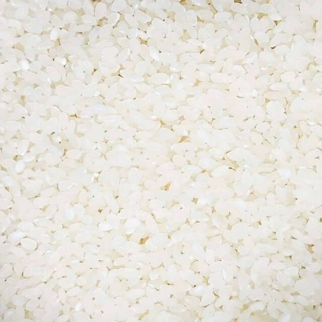 mochi様専用 お米 30kg 5kg×6袋 R2年度産 食品/飲料/酒の食品(米/穀物)の商品写真