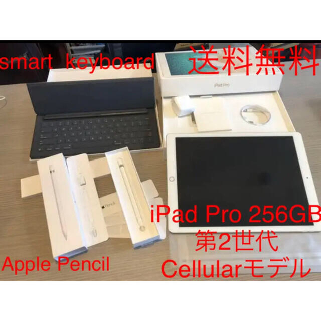 iPad Pro12.9SIMフリー256GB 第2世代　Celluarモデル