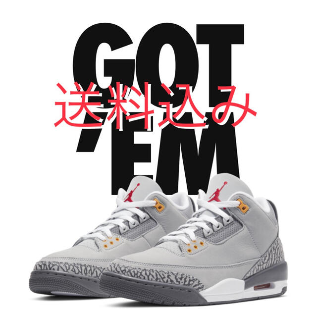 NIKE AIR JORDAN 3 Cool Grey エア ジョーダン