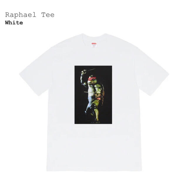 Tシャツ/カットソー(半袖/袖なし)Supreme Raphael Tee Mサイズ　新品